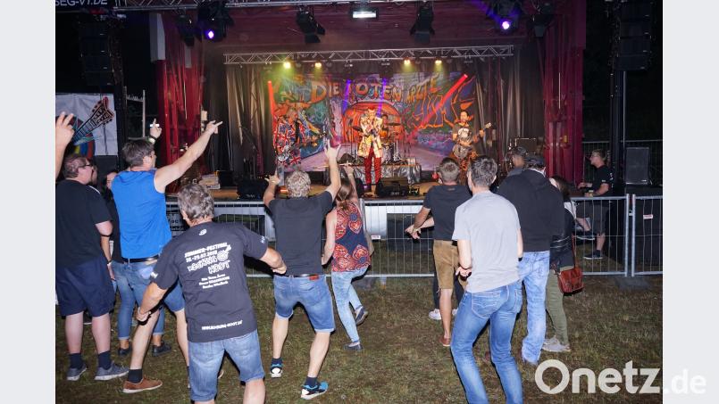 &quot;Die Toten Ärzte&quot; waren der Höhepunkt beim Rocking-Hoot-Sommerfestival Bild: nib