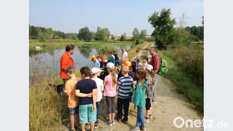 Teichwirt Thomas Beer (links) nimmt sich viel Zeit, um die Drittklässler aus Kastl in die Geheimnisse der Teichwirtschaft einzuführen. jzk