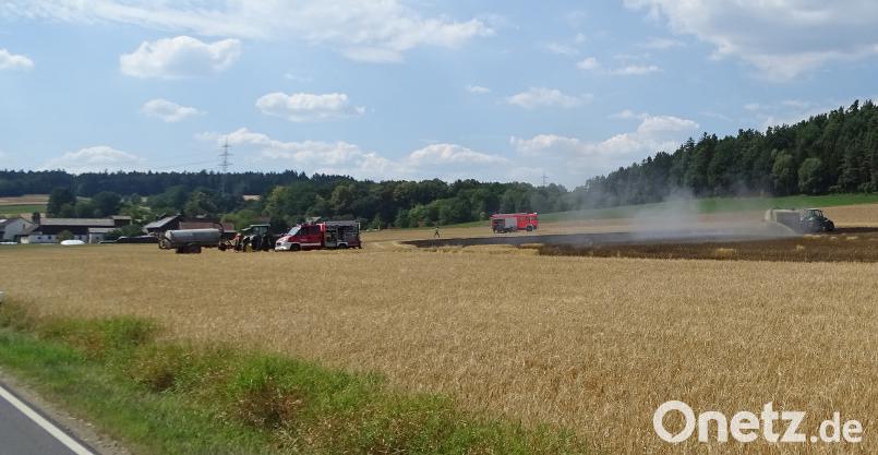 Ein Braugestenfeld mit fünf Tagwerk Fläche brannte und die Feuerwehr und Landwirte löschten den Brand gemeinsam. Dobmeier