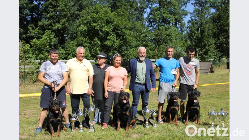 Sieger der 2. BG-Schau Amberg (von links): Ljuba Latinovic mit Darsi Earl Antonius, Edgar Hellmann, Peter Gress, Nancy Kilmer mit Bruno vom Hause Scherau, Gerard O’Shea, Vesna Bonovic mit Sally vom Wilden Westen und Ljuba Latinovic mit Tino Earl Antonius. ads