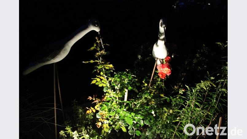 Zwei Skulpturen werden in einem Terrassenbeet angestrahlt. prh