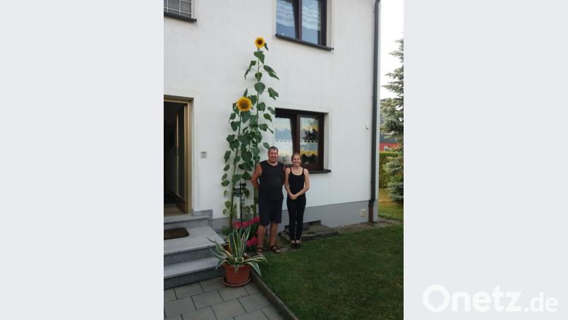 Michael Hildebrand und Julia Kempf mit der Sonnenblume. exb