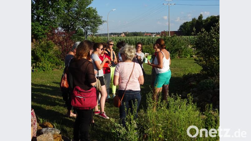 Die Mitglieder des Frauenbunds lernen Wildkräuter kennen. fvo