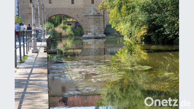 Die Vils ist nur noch ein seichtes Bächlein. Der fehlende Regen lässt den Wasserstand auf ein Rekordtief sinken. Stephan Huber