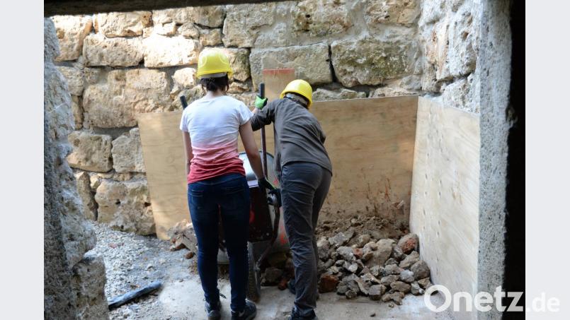 Hier sollen einmal Fledermäuse logieren. brü