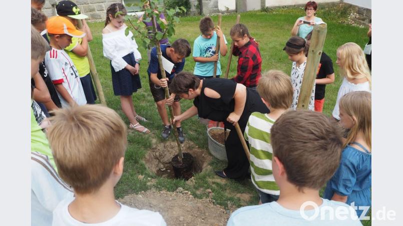 Die vierte Klasse pflanzt zum Abschied mit Schulleiterin Bianca Ederer einen Apfelbaum. gz
