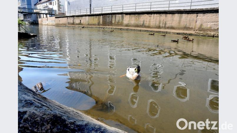 Die Vils ist nur noch ein seichtes Bächlein. Der fehlende Regen lässt den Wasserstand auf ein Rekordtief sinken. Stephan Huber