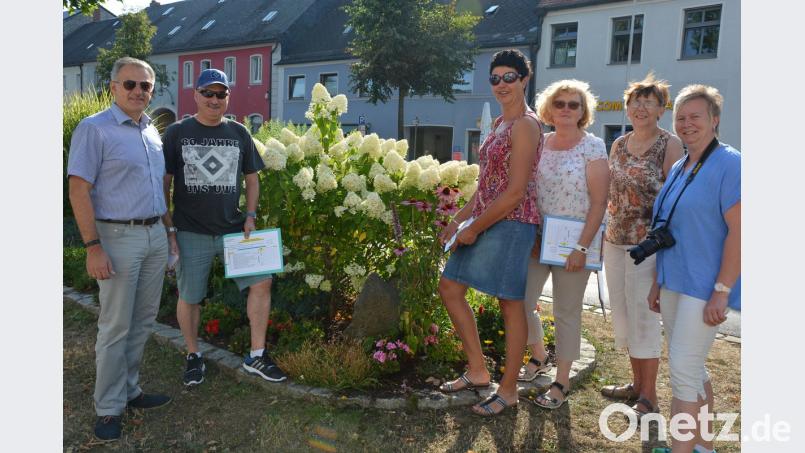 Die Blumenschmuck-Jury machte sich am Mittwoch auf den Weg, um die angemeldeten Anwesen in der Stadt Mitterteich und der Gemeinde Leonberg unter die Lupe zu nehmen. Im Bild (von links) Bürgermeister Roland Grillmeier, Stadtgärtner Willi Kilian, Brigitte Bassek, Monika Zintl, Theresia Hecht und Marion Puchta. jr