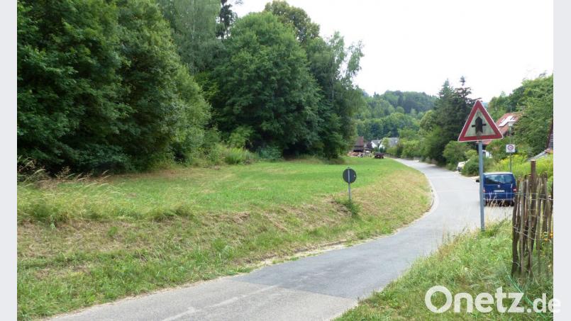 Auf diesem länglichen Grundstück könnten fünf neue Bauplätze in Kastl entstehen und damit eine Lücke schließen, da die gegenüberliegende Seite schon bebaut ist. Allerdings liegt ein Teil davon in einem geschützten Landschafts- und Außenbereich, so dass nun das Landratsamt über das weitere Vorgehen entscheiden muss. jp