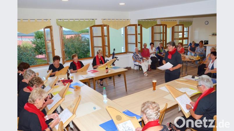 Petra Zielbauer (stehend) aus Heumaden dirigiert die "Veeh-Harfen-Gruppe". fjo