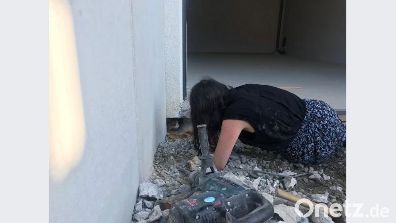 Endlich in Freiheit: Die Katze wird gerettet. Polizei Karlsruhe