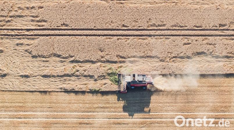 Landwirte befürchten eine schlechte Ernte. Julian Stratenschulte/dpa