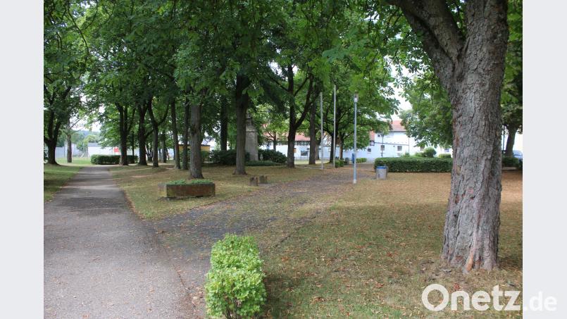 Wie könnte der Pressather Stadtpark in Zukunft aussehen? Darüber diskutiert der Stadtrat in der Julisitzung. sne