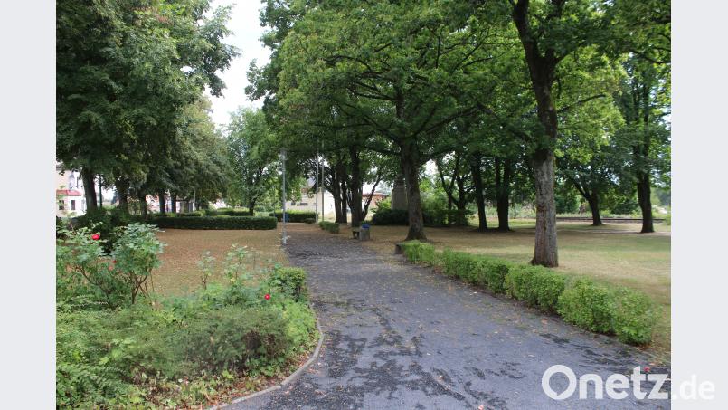 Stadtrat Pressath diskutiert über Neugestaltung des Stadtparks. sne