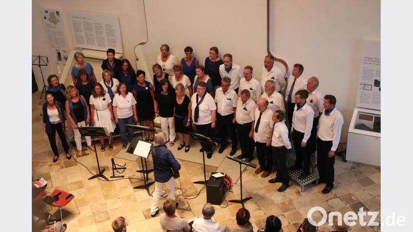 Chorleiter Franz-Xaver Reinprecht begleitet den bestens disponierten Multichor auf der Gitarre. cog