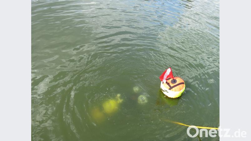Durch die gelbe Leine sind Taucher und Leinenführer, der vom Ufer aus aufpasst, miteinander verbunden. exb