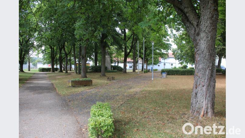 Stadtrat Pressath diskutiert über Neugestaltung des Stadtparks. sne