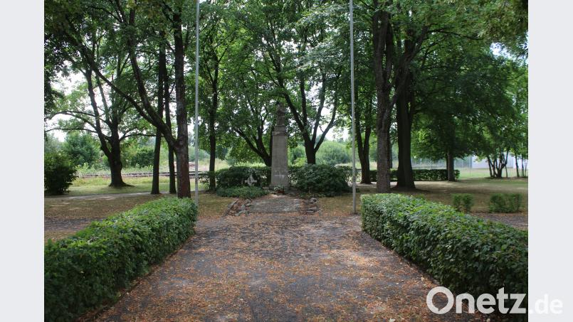 Stadtrat Pressath diskutiert über Neugestaltung des Stadtparks. sne