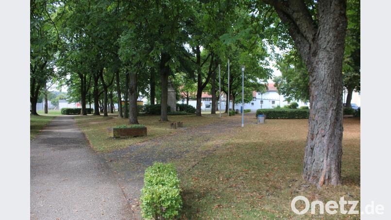 Stadtrat Pressath diskutiert über Neugestaltung des Stadtparks. sne