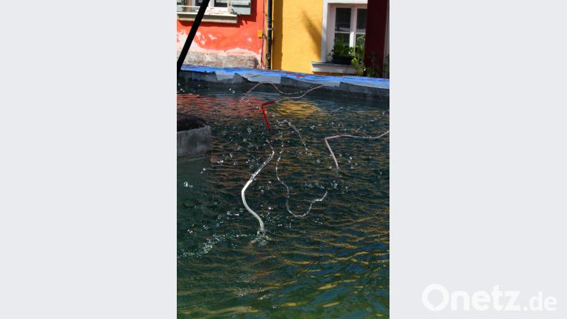 Ganz lapidar „Sauschwänzlesbrunnen“ hat Richard Klein-Hollerbach aus Bretzfeld seine Wasserinstallation genannt. Holger Stiegler