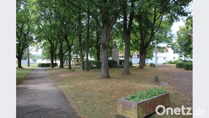 Stadtrat Pressath diskutiert über Neugestaltung des Stadtparks. sne