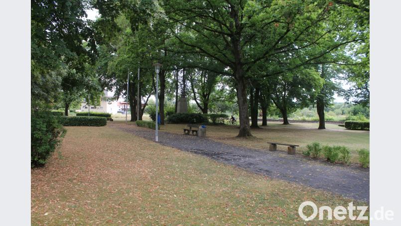 Stadtrat Pressath diskutiert über Neugestaltung des Stadtparks. sne