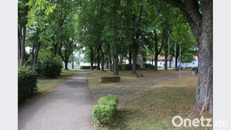 Stadtrat Pressath diskutiert über Neugestaltung des Stadtparks. sne