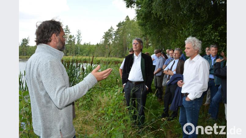Regierungspräsident Axel Bartelt, der Leitende Ministerialrat Lorenz Sanktjohanser und Landrat Wolfgang Lippert machten sich im Gespräch mit Teichwirten im Rahmen einer Besichtigung des Gebiets um Adler- und Wurzer-Teich ein Bild vom Kernbereich der Waldnaabaue. Regierung der Oberpfalz/Kammermeier