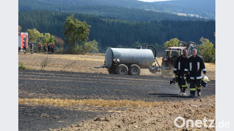 Verbranntes Stoppelfeld jr