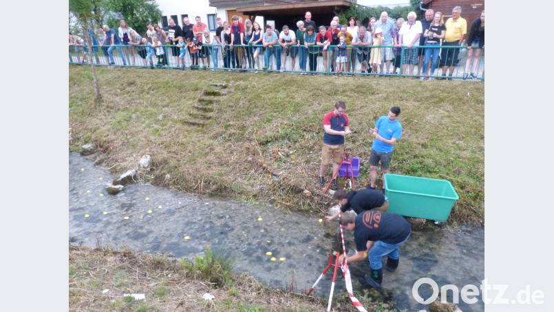Genau nehmen es die Kampfrichter beim Zieleinlauf der Enten. fm