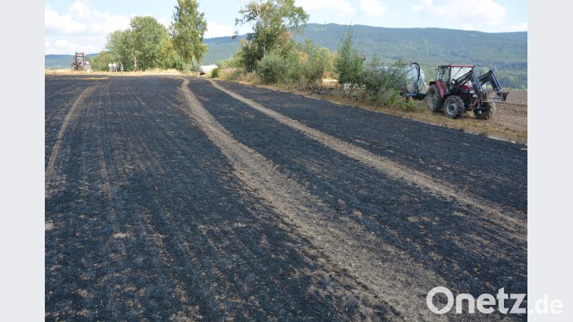 Verbranntes Stoppelfeld. jr