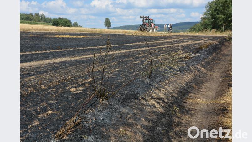 Verbranntes Stoppelfeld. jr