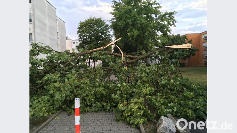 Südwestlich der Kernstadt, im Bereich rund um das Hockermühlbad, richten Windböen die größten Schäden durch herabbrechende Äste an. Menschen kommen nicht zu Schaden, lautet die erfreulichste Seite der Einsatzbilanz der Feuerwehr für den frühen Freitagabend.  Bild: Feuerwehr Amberg