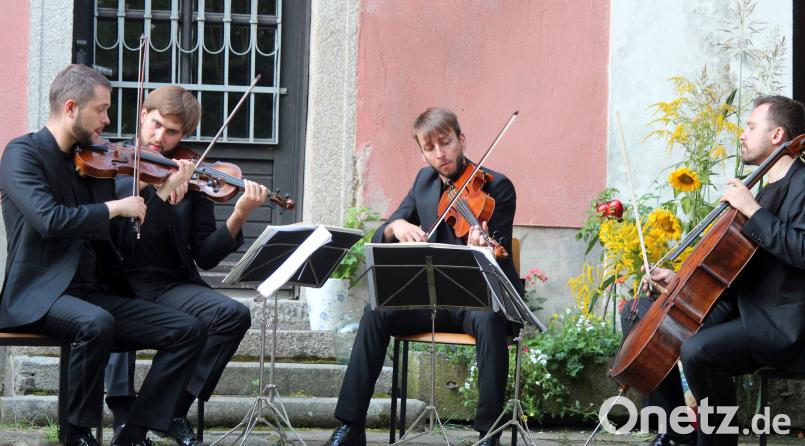 Das Mettis-Quartett sorgt bei den Wurzer Sommerkonzerten am Samstagabend für einen musikalischen Hochgenuss. Holger Stiegler