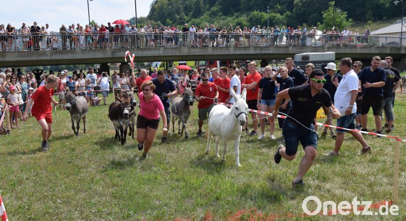 Das Esekrennen in der Flutmuldenarena lockte am Marktfestsonntag trotz Gluthitze mehrere Hundert Zuschauer an.. Sieger wurde in diesem Jahr erstmals die freiwillige Feuerwehr aus Adertshausen. Bild: bö