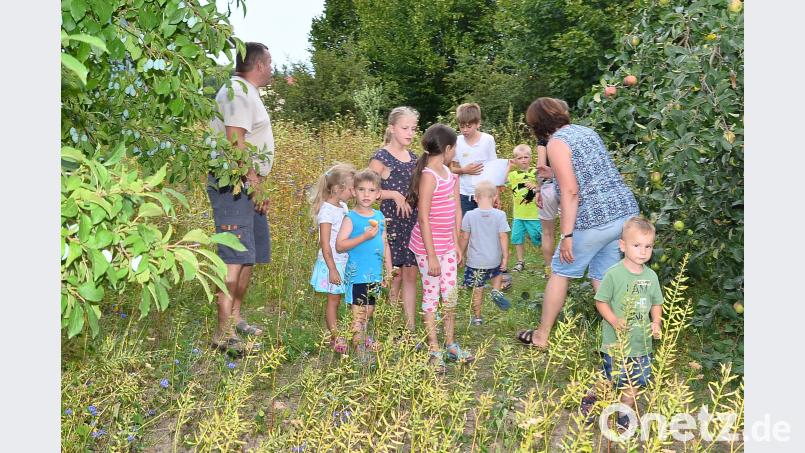 Inmitten der Blumenwiesen und Bienenweiden gibt es allerhand Insekten und Blüten zu entdecken. fjo