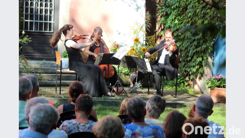 Das Pro-Arte- Trio bei den Wurzer Sommerkonzerten. stg