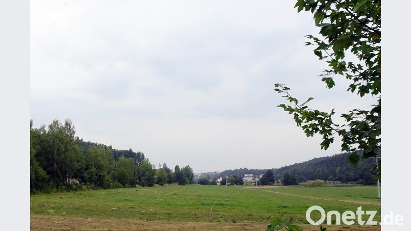 Das für den Bio-Masthähnchen-Betrieb bei Aufheim vorgesehene Areal zwischen dem Fünf-Flüsse-Rad-Weg und der Vils mit Blick auf Siegenhofen.	Bild: sön Bild: sön