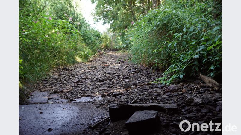 Keinen Tropfen Wasser führt der Flötzbach in dem besagten Streckenabschnitt. bkr