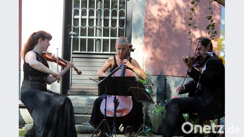 Das Pro-Arte-Trio präsentiert sich äußerst facettenreich bei den Wurzer Sommerkonzerten. Holger Stiegler