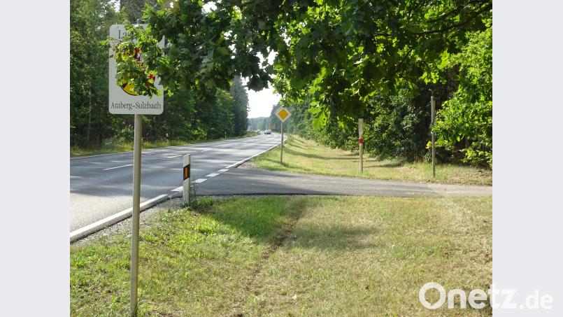 Zwischen Wald und Staatsstraße würde der Radweg vom Bahnhof Freihöls bis zur Autobahnüberführung verlaufen. Ein Lückenschluss gewissermaßen, der nun offenbar daran scheitert, dass einer von mehreren Grundeignern nicht verkaufen will. hou