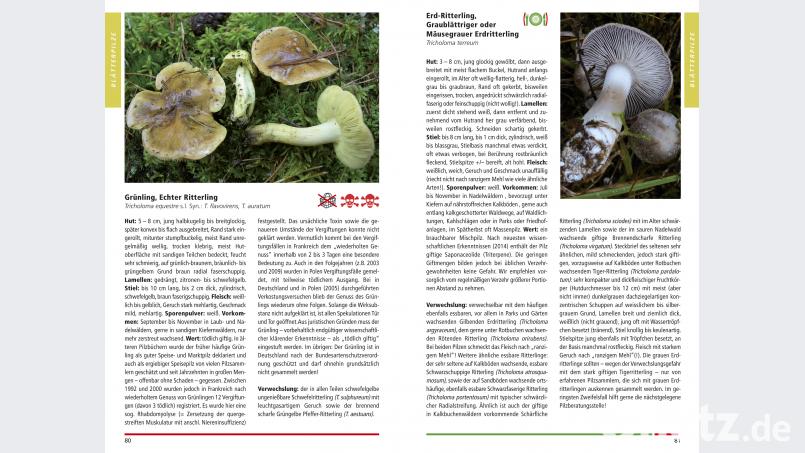 Es enthält unter anderem Informationen zum Speisewert der Pilze. Battenberg Gietl Verlag
