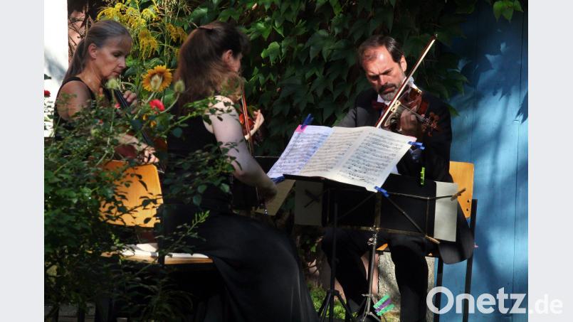 Das Pro-Arte- Trio bei den Wurzer Sommerkonzerten. stg