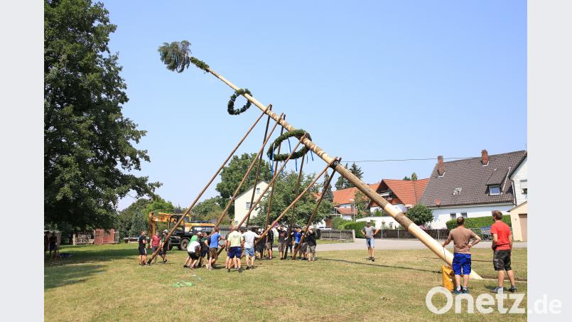 Mit Muskelkraft wurde der Baum in die Senkrechte gebracht. egl