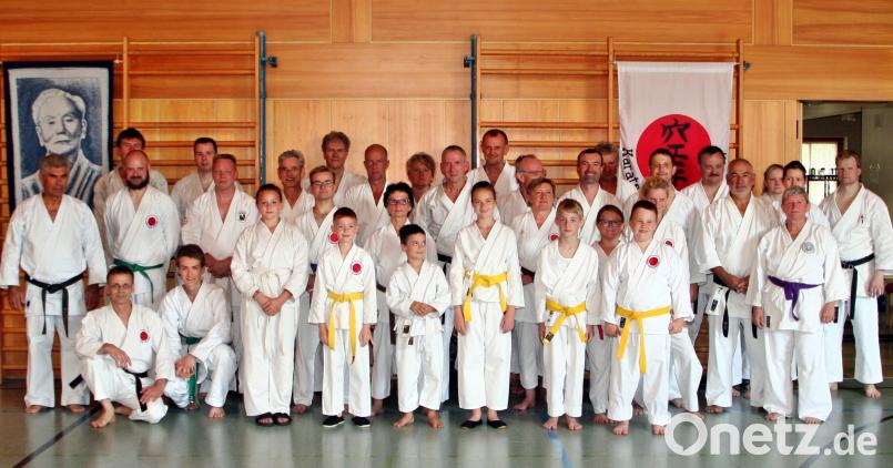 Die Störnteiner Karatekas aller Gürtelgrade konnten von Großmeister Fritz Oblinger (links) beim 13. Lehrgang Einiges dazulernen. bgm