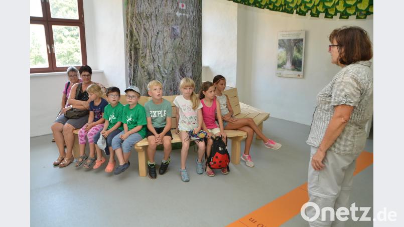 Die Kinder machen sich mit dem OWV und dem Naturparkland Oberpfälzer Wald auf eine Lindenbaum-Spurensuche. Andächtig lauschen die Kinder einer Sage, die Kreisheimatpfleger Peter Staniczek vom Band erzählt. dob