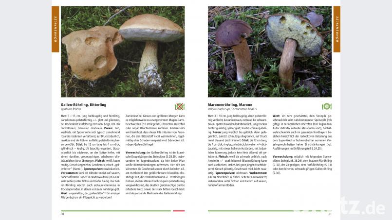 Alle Pilze sind auf Bildern deutlich dargestellt. Auch das Thema Verwechslungen wird im Buch ausführlich behandelt. Battenberg Gietl Verlag