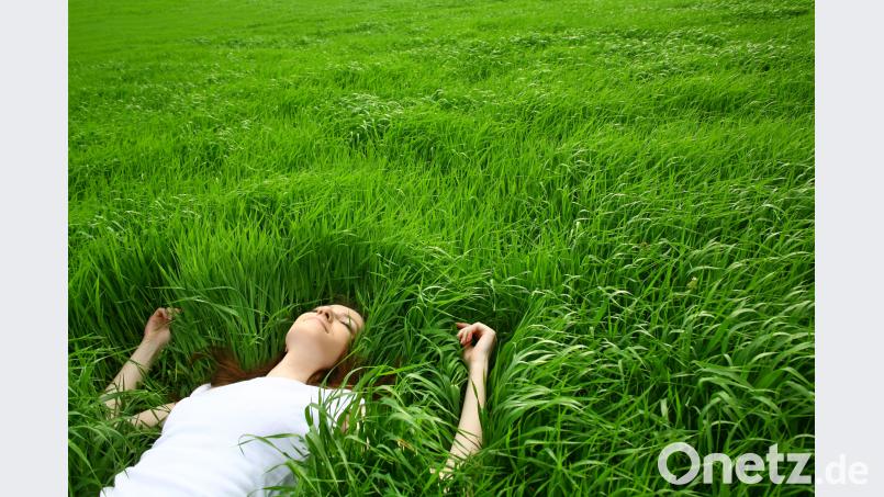 Im Gras liegen und den Duft einatmen: Das Gute ist oft so nah. Bild: raven/stock.adobe.com