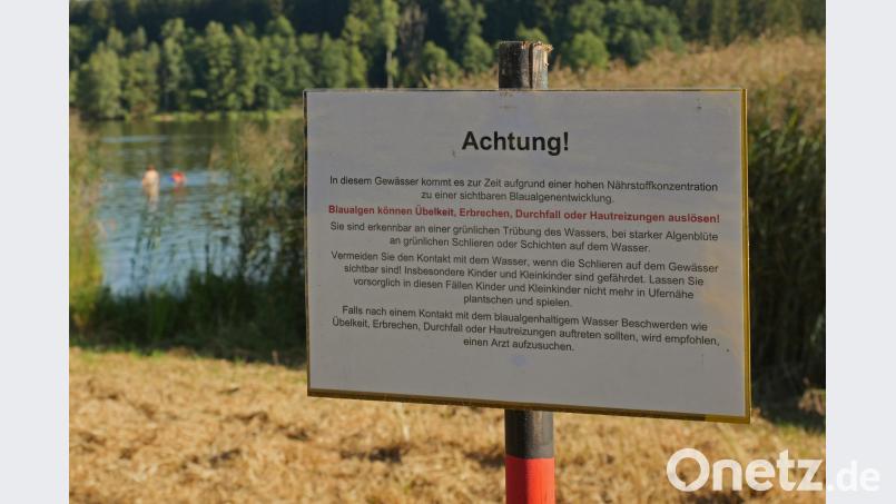 Seit Anfang August ist wieder eine Warnung vor Blaualgen am Rothenbürger Weiher ausgesprochen. tr