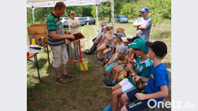 Ferienprogramm: Ein Tag beim Imker. Reichl erklärt den Kindern, was eine Altwabe ist. lk